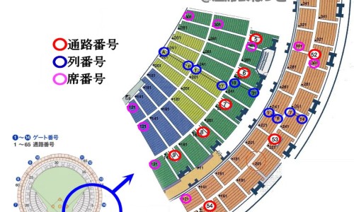 身上的白毛是什么东西-身上的白毛是什么网- 身上的白毛是什么病知识,分享身上的白点是什么